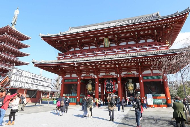 Explore Traditional Tokyo in a Day by Private Car - Customer Reviews and Testimonials