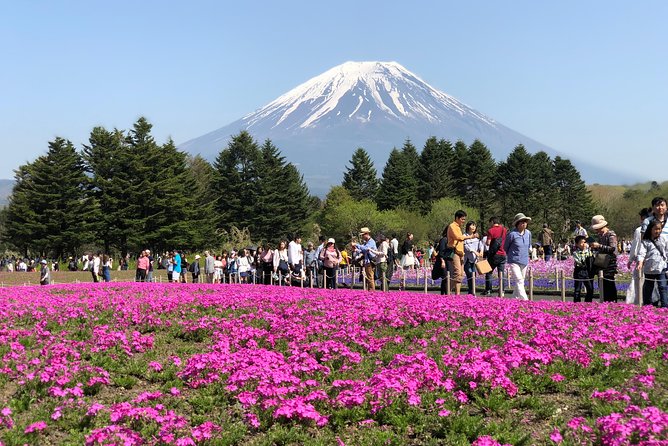 Private Fuji Exploration With Photography ENGLISH SPEAKING - Cancellation Policy