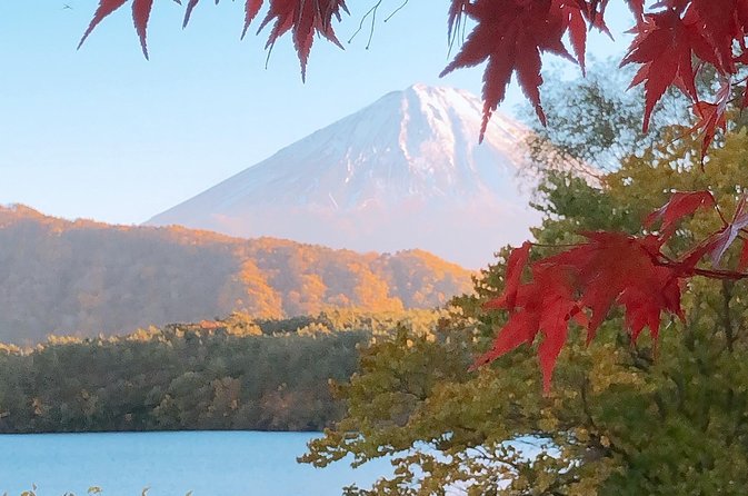 Private Fuji Exploration With Photography ENGLISH SPEAKING - Tour Details