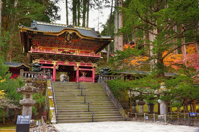 Explore Nikko in a Day - Private Car With English Speaking Driver - Customization Options