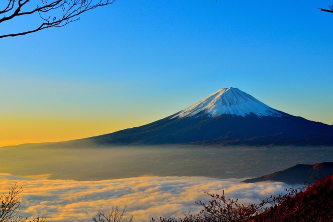 Explore Mt. Fuji, Hakone and Lake Ashi in a Day by Private Car - Booking and Cancellation Policy