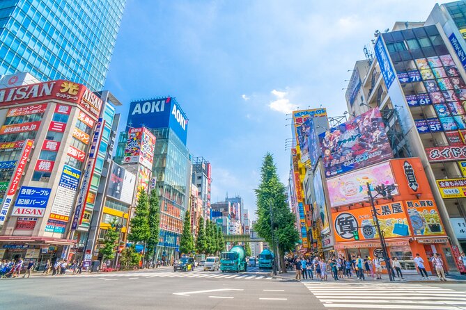 From History to Subculture: Akihabara & Ueno Must-See Tour! - Practical Information