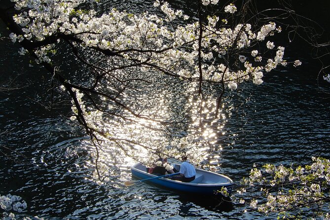 Private Tour - History, Art and Nature at the Imperial Palace - Tour Details