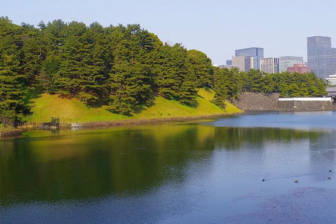 Private Tour - History, Art and Nature at the Imperial Palace - End Point Information