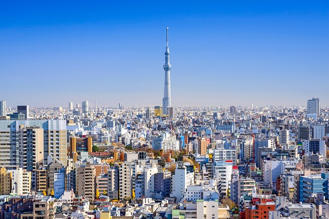 Tokyo Private Sightseeing Tour by English Speaking Chauffeur - Price and Booking