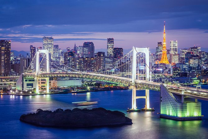 Tokyo Private Sightseeing Tour by English Speaking Chauffeur - Customer Satisfaction