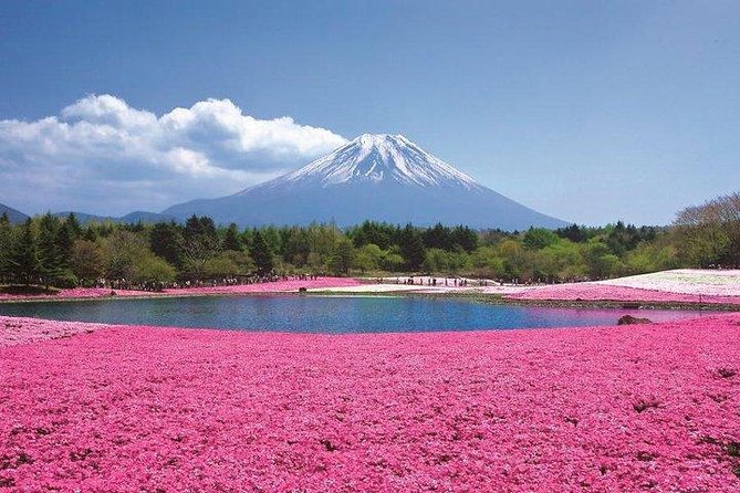 Mt. Fuji Flower Festival Tour With Ropeway Experience From Tokyo - Key Takeaways