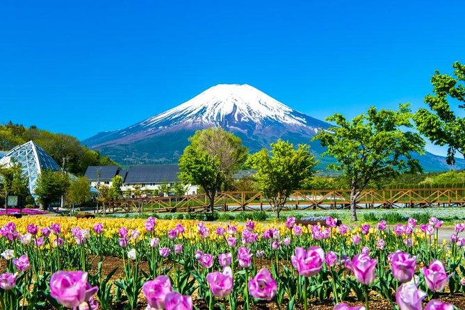 Mt. Fuji Flower Festival Tour With Ropeway Experience From Tokyo - Conclusion