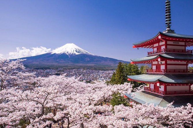 Mt Fuji & Five-Story Pagoda & Honcho Street & Oishi Park Day Tour - Tour Itinerary