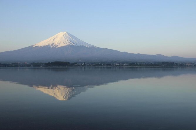 Mt. Fuji Five Lakes Area Private Day Trip With Licensed Guide (Tokyo Dept) - Key Takeaways