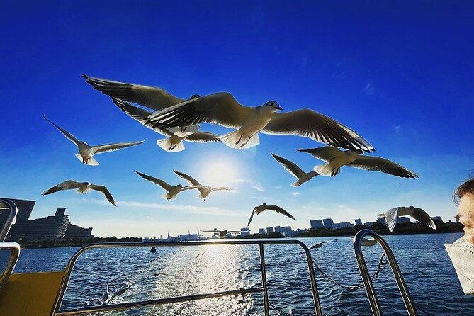 Tokyo Water Taxi Bayzone Tour - Additional Information