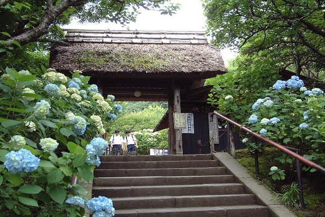 Kamakura 8 Hr Private Walking Tour With Licensed Guide From Tokyo - Guides Expertise and Services