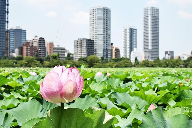 Tokyo Japanese Garden Lovers Private Tour With Government-Licensed Guide - Conclusion