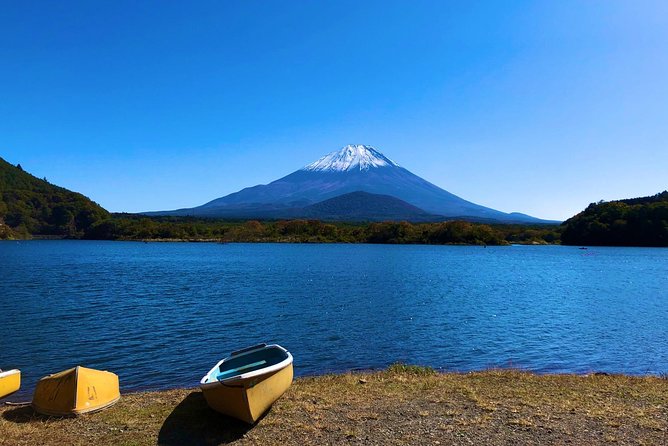 1 Day Charter Tour to Mt Fuji View - Inclusions and Exclusions