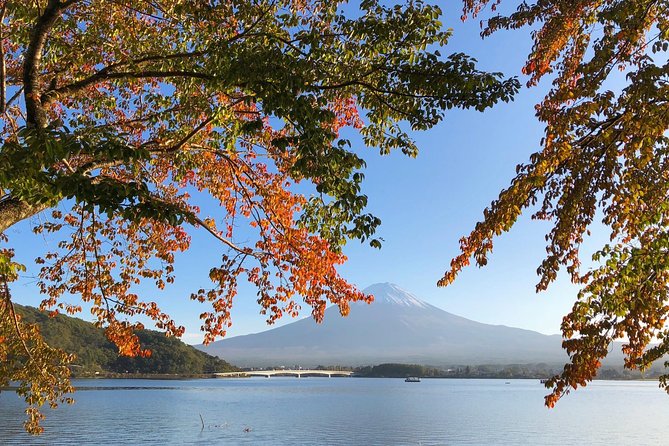 1 Day Charter Tour to Mt Fuji View - Frequently Asked Questions