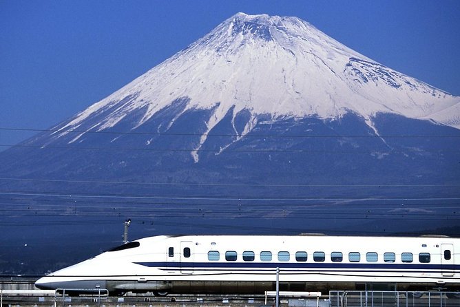 1 Day Charter Tour to Mt Fuji View - Conclusion