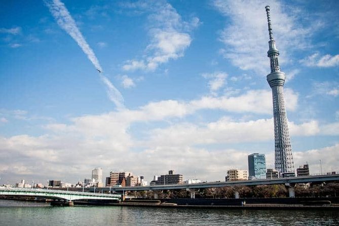 1 Day Charter Tour for Tokyo Sightseeing - Key Takeaways