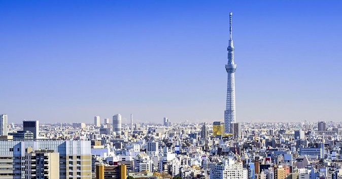 1 Day Charter Tour for Tokyo Sightseeing - Itinerary Overview