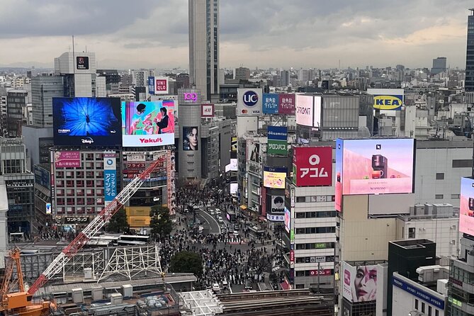 Full Day Walking Tour in Shinjuku and Shibuya - Lunch Break in Local Restaurant