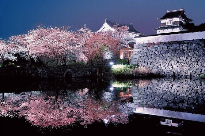 A Day Charter Bus Tour Around Cherry Blossoms in Northern Kyushu - Pickup Information