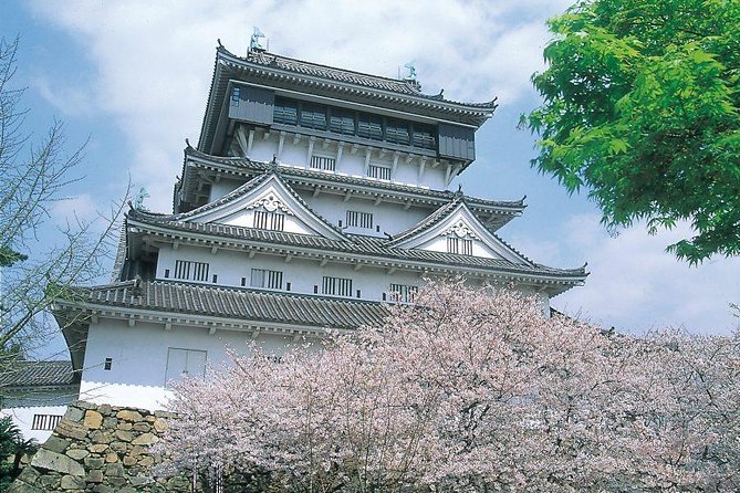 A Day Charter Bus Tour Around Cherry Blossoms in Northern Kyushu - Price and Booking