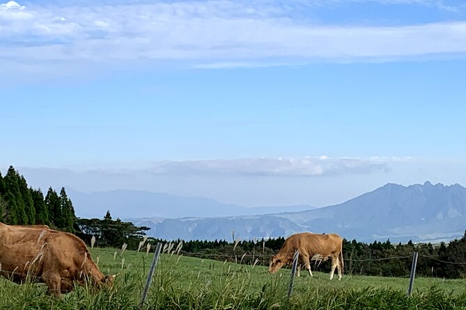 Day Trip Charter Bus Tour to Great Nature Mt.Aso From Fukuoka - Price and Booking