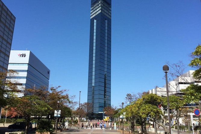 Fukuoka City Walking With Public Transport Sightseeing Tour - Accessibility Details