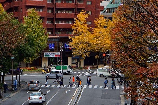 Fukuoka Custom Half Day Tour - Conclusion