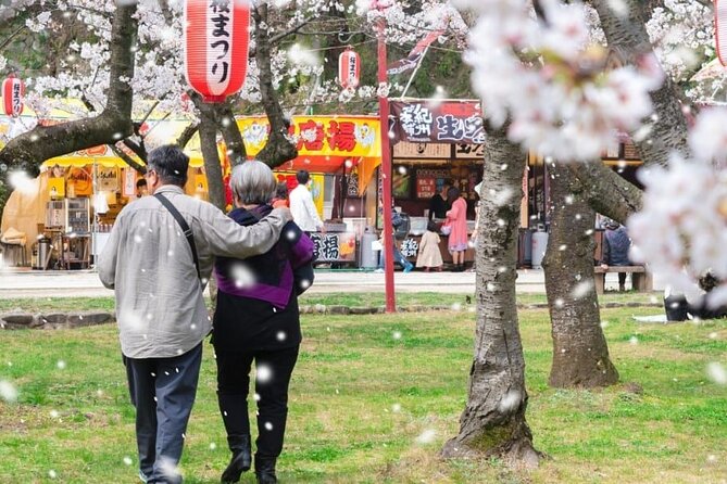 Private and Unique Fukuoka Cherry Blossom Sakura Experience - Private Walking Experience: 4 Hours