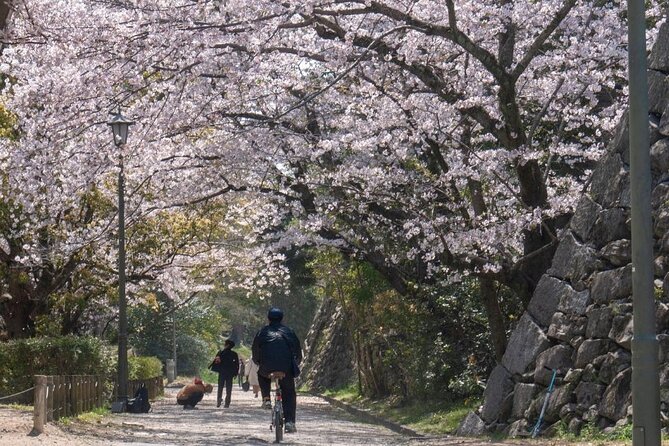 Private and Unique Fukuoka Cherry Blossom Sakura Experience - Directions and Cancellation Policy