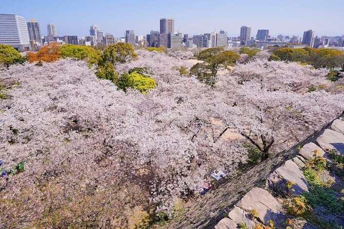 Private and Unique Fukuoka Cherry Blossom Sakura Experience - Additional Info: Confirmation and Accessibility