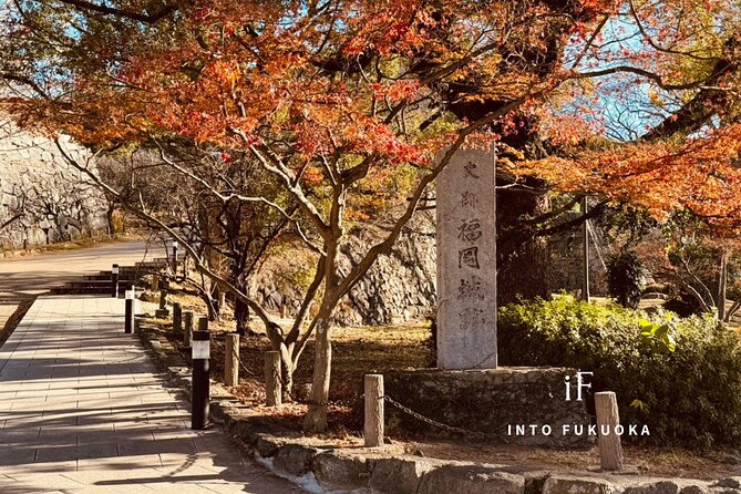 Fukuoka Castle and Gokoku Shrine Tour - Location Details