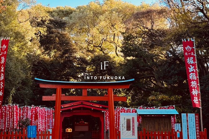 Fukuoka Castle and Gokoku Shrine Tour - What to Expect