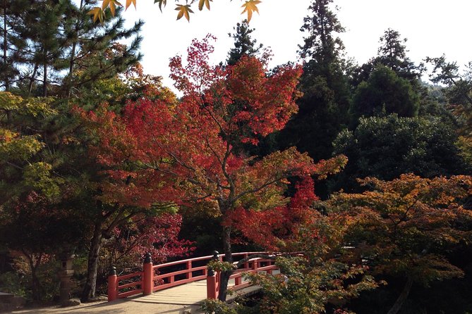 Miyajima Full Day Tour - Accessibility & Requirements