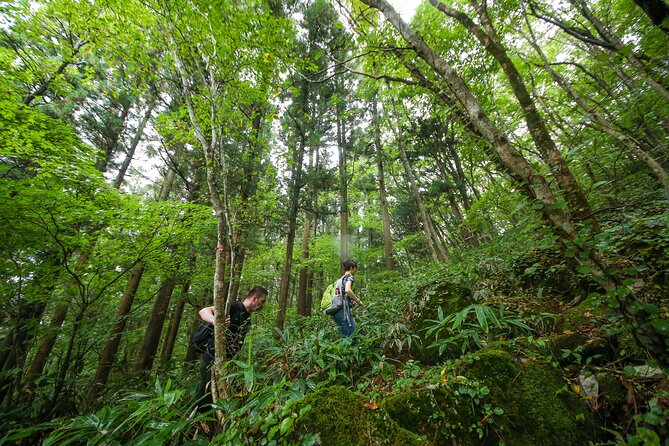 Hike up Mt. Omine and Enjoy the View of Miyajima - Pricing Information