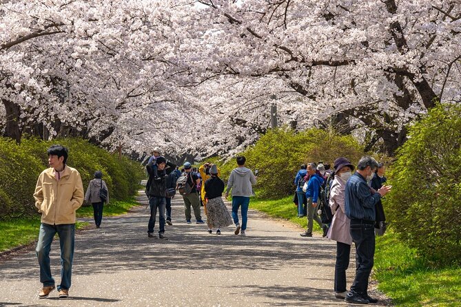 Private Hiroshima Cherry Blossom and Sakura Experience - Additional Information