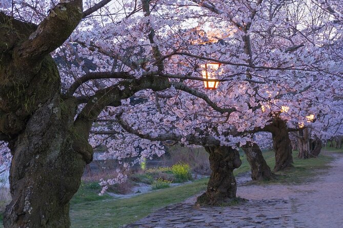 Private Hiroshima Cherry Blossom and Sakura Experience - Cancellation Policy