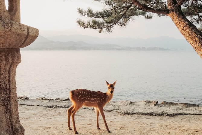 The Peace Memorial to Miyajima : Icons of Peace and Beauty - Architectural Features of Miyajima