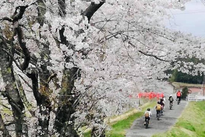 Oasa Country Cycling (Easy Access From Hiroshima 1 Hr Scenic Bus) - Responses