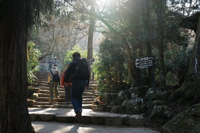 Miyajima Island Tour With Certified Local Guide - Booking and Contact Information