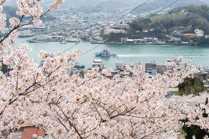 Private Tour by Hire: Onomichi Local Experience ＆ Island Cycling - Activity Details & Requirements