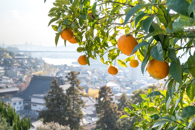 Private Tour by Hire: Onomichi Local Experience ＆ Island Cycling - Conclusion