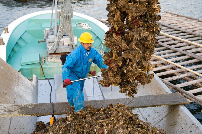 Witness an Oyster Harvest & Interact With Local Oyster Farmers! - Meeting and Pickup Information