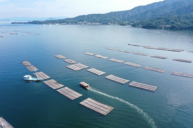 Witness an Oyster Harvest & Interact With Local Oyster Farmers! - Cancellation Policy