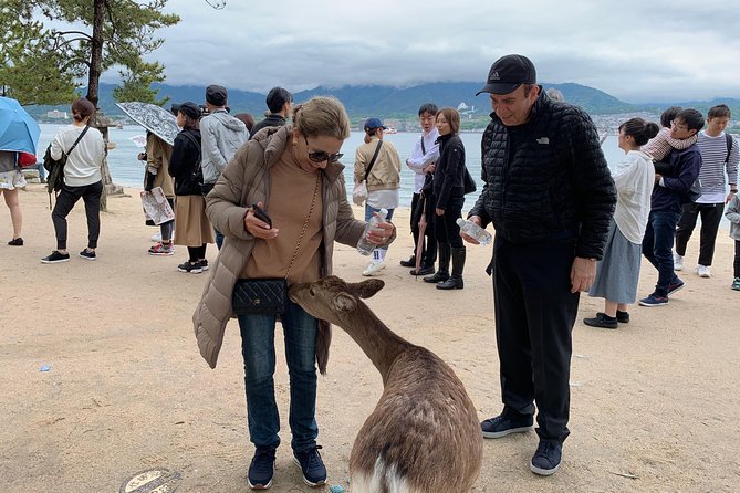 Hiroshima / Miyajima Full-Day Private Tour With Government Licensed Guide - Traveler and Guide Experiences