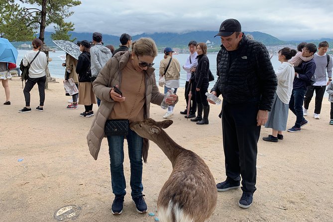 Miyajima Half-Day Private Tour With Government Licensed Guide - Pricing and Availability