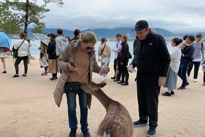 Miyajima Half-Day Private Tour With Government Licensed Guide - Last Words