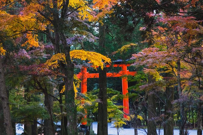 Kagoshima Custom Half Day Tour - Accessibility and Dress Code