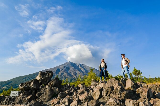 Kagoshima Custom Tour With Private Car and Driver - Cancellation Policy Overview