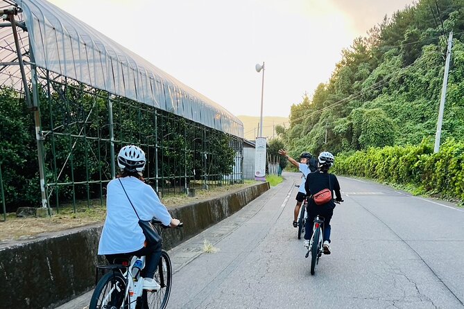 Sakurajima Morning Hill Climb by E-Bike - Key Takeaways